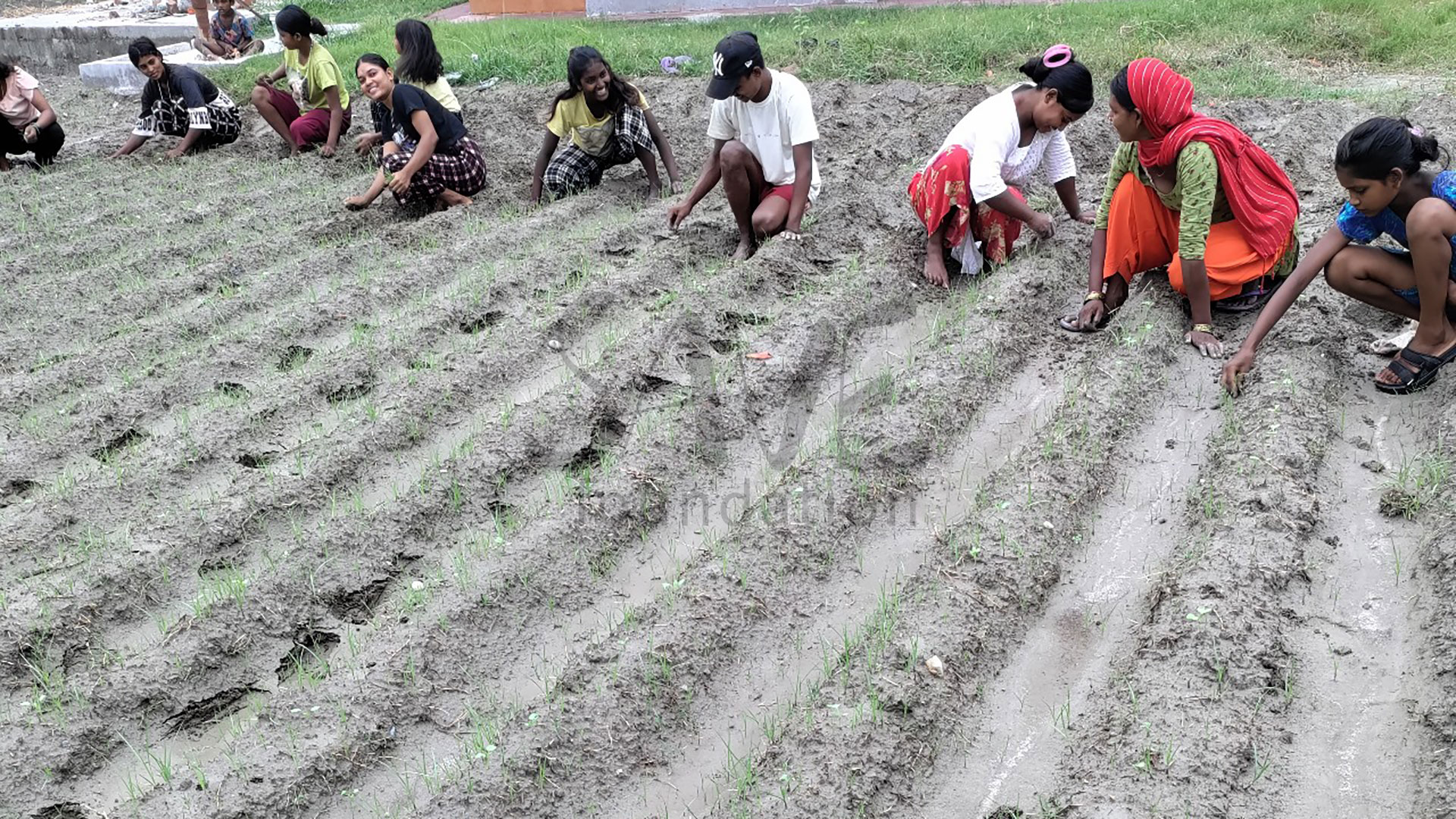 1-Community-Farming-3